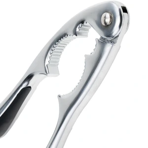 تصویر فروشگاه پالامی