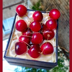 تصویر گوشواره زنانه برند فشن مدل گیلاس استیل رنگ ثابت وضد حساسیت Women's earrings, fashion brand, cherry model, steel, fixed color and free shipping