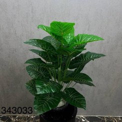 تصویر درختچه بابا آدم مصنوعی 