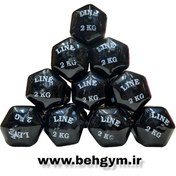 تصویر دمبل بانوان(ایروبیک) ۲ کیلوگرمی وینر گروپ Aerobic women dumbbells