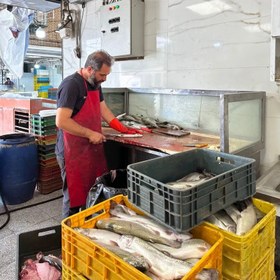 تصویر ماهی قزل آلا ریز (کیلویی) 