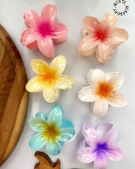 تصویر کلیپس پلومریا سایز ۸ سانت رنگی 