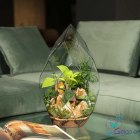 تصویر تراریوم دایموند vip 