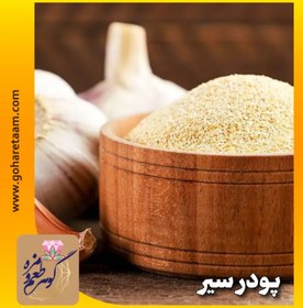 تصویر پودر سیر | خرید ادویه سیر 