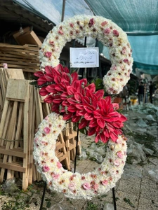 تصویر فروشگاه گل و گیاه فلوریکا