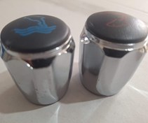 تصویر پوسته ای بی اس شیر کلاسیک معمولی خار برنجی 