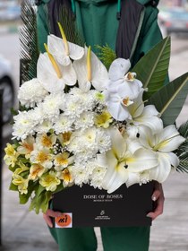 تصویر فشن باکس مربع ترحیم 