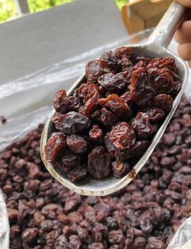 تصویر مویز قرمز تپل 