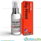 تصویر کرم تاخیری ،حجم دهنده و نعوظ آور برند بیگ پنیس ساخت کشور امریکا Big Penis وزن 40 گرم 