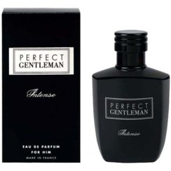 تصویر ادو پرفیوم مردانه آرت اند پرفیوم مدل پرفکت جنتلمن اینتنس حجم 100 میلی لیتر Aat & Parfum Perfect Gentleman Intense EAU De Parfum For Man 100ml