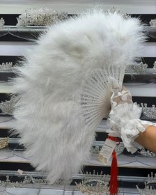 تصویر بادبزن پر 