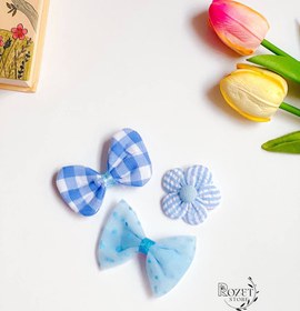 تصویر گل سر انبری رنگ آبی 