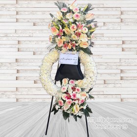 تصویر تاج گل تاج داربلند 