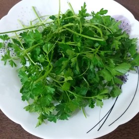 تصویر سبزی تازه جعفری شمال سوغات سرای شمال 