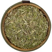 تصویر خارشتر 