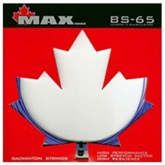 تصویر زه مکس پاور مدل Maxpower BS 65 