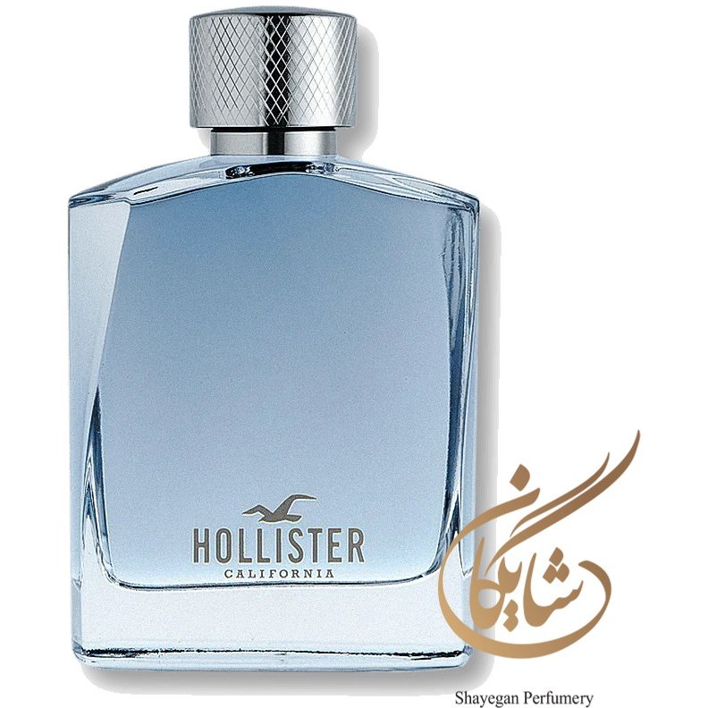 hollister wave for him 100ml