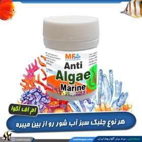 تصویر داروی ضد جلبک آب شور آنتی آلگ مارین ام اف آکوا MF aqua Metro Plus 12gr