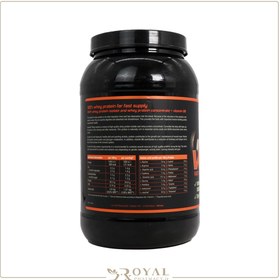 تصویر پروتئین وی 100% آپوویتال 1000 گرم Apovital Whey Protein 1000 gr