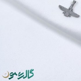 تصویر پلاک طرح فروهر رنگ نقره ای 