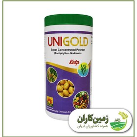 تصویر جلبک دریایی 