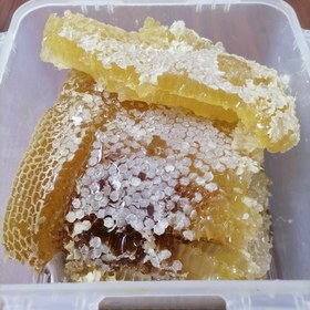 تصویر عسل طبیعی گون آویشن با برگه آزمایش 