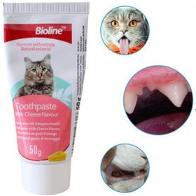 تصویر ست مسواک و خمیر دندان گربه بایولاین Bioline Hygiene Set For Cats