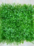 تصویر پنل ۵۰*۵۰ گرین وال شمشاد ریز 