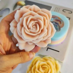 تصویر رز ژور نالی با برگ 