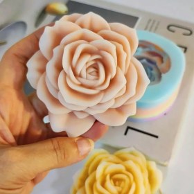 تصویر رز ژور نالی با برگ 