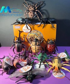 تصویر بسته ۱۲ عددی حشرات ماقبل تاریخ اوریجینال 