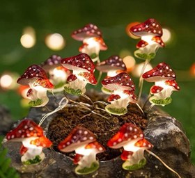 تصویر ریسه قارچ قرمز 