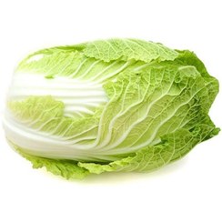 تصویر بذر کاهو ژاپنی 20 عددی 