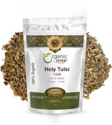 تصویر گیاه تولسی «ریحان مقدس» 