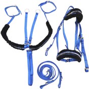 تصویر ست سركله گير و دستجلو و سينه بند تعليمى اسب 