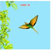 تصویر آسمان مجازی کد 78 – سقف طبیعت‌محور و آرامش‌بخش با طرح پرنده رنگارنگ 