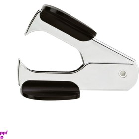 تصویر سوزن کش دلی (Deli) 