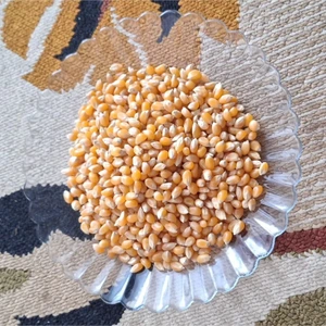 تصویر فروشگاه میلاد تویز عجب شیر