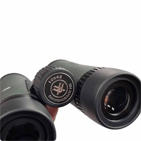 تصویر دوربین دو چشمی ورتکس دایمندبک 42×10 HD 