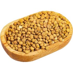 تصویر عدس بو داده یک کیلوگرم 