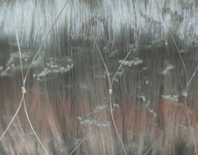 تصویر تور ماهیگیری فیشینگ نت 2.5 و 4.5 انگشتی 