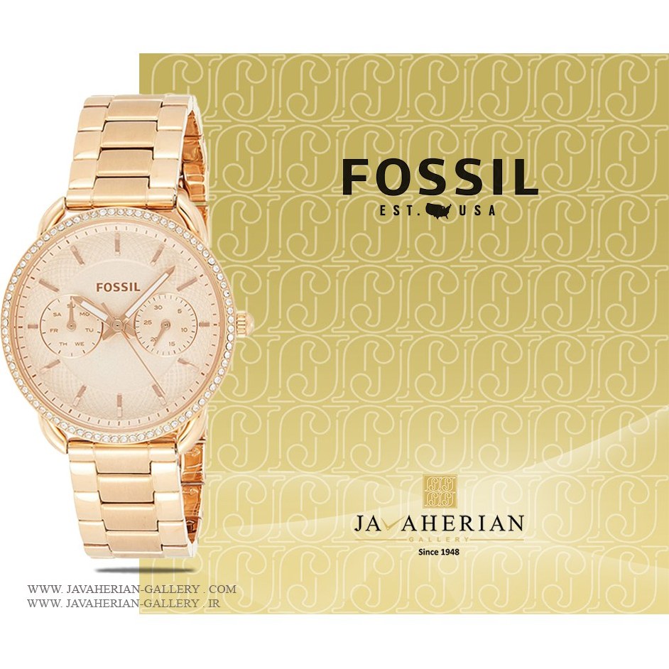 ES4264 Fossil ES4264