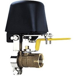 تصویر شیر برقی گاز 12 ولت 