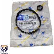 تصویر مجموعه اورينگ درپوش فيلتر وپايه206ايساکو 