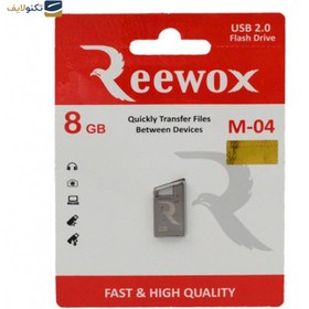 تصویر فلش مموری ریوکس 8 گیگ M-04 Reewox M-04 Gray shiny