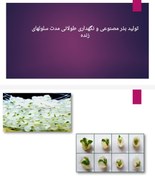 تصویر پاورپوینت تولید بذر مصنوعی 