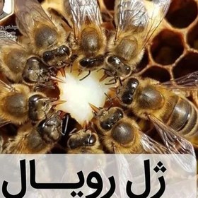 تصویر ژل رویال یا ژل سلطنتی یا انگبین 10 گرم خالص زنبورستان ماهور فوق العاده مقوی 