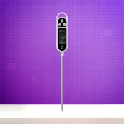 تصویر دماسنج مایعات مدل TP-300 