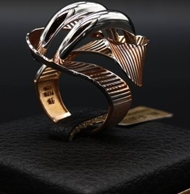 تصویر انگشتر دورین 