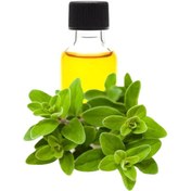 تصویر روغن مرزنجوش 